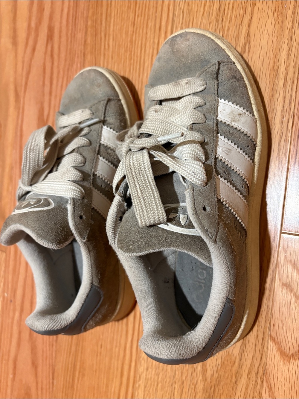 Adidas Campus Suede Sneakers in Light Gray and White